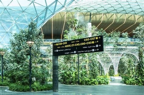 Il Nuovo Aeroporto Del Qatar Un Giardino Tropicale Con Più Di 300 Alberi E 25000 Piante