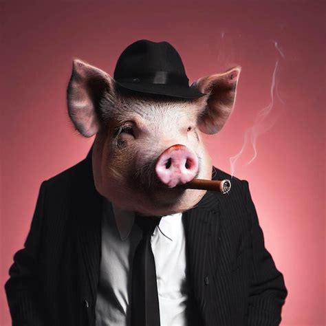 A Pig With A Cigar And A Hat Is Smoking A Cigar Premium AI Generated