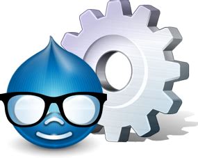 drupal development drupal development services  usa