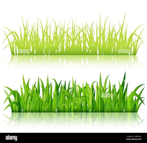 Green Grass Borders Vector Stock Vector Image And Art Alamy