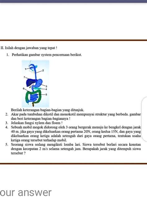 Solved Ipa Kelas Tolong Dibantu Ii Isilah Dengan Jawaban Yang Tepat