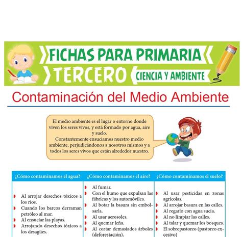 Actividades De Ciencia Y Ambiente Para Tercer Grado De Primaria