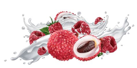 Lychee And Raspberries Splashing In Yogurt Or Milk Vector Liquid