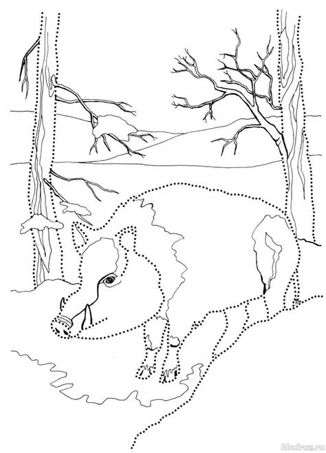 Раскраски Дикие Животные Зимой Для Детей 5 6 Лет - 70 фото