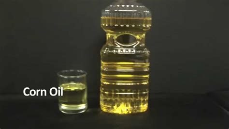 Oil Melting Point Experiment Youtube