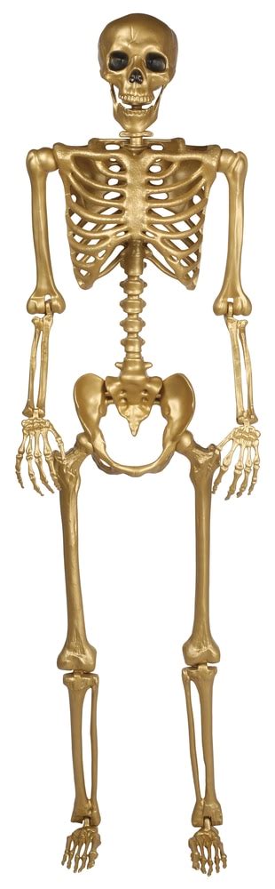 Skeleton Realistic Life Size Human Prop Gold 60 In Indooroutdoor