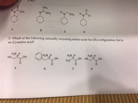 Solved Which Of The Following Naturally Occurring Amino Chegg