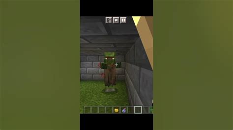 How To Convert Zombie Villager Into Villager Short Youtube