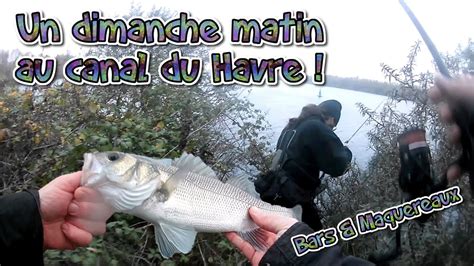 Un Dimanche Matin Au Canal Du Havre Bars Et Maquereaux Youtube