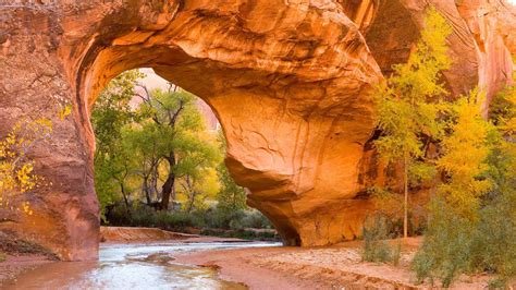 Bing HD Wallpaper Oct 6 2024 Coyote Gulch Glen Canyon Recreation