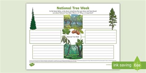 National Tree Week Mind Map Profesor Hizo Twinkl