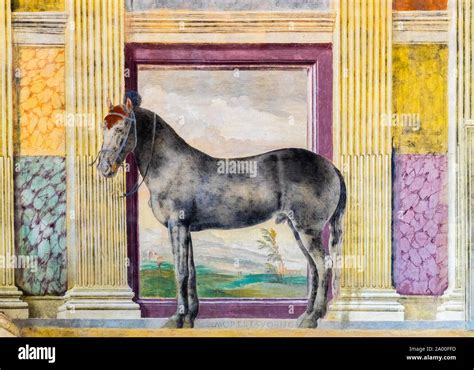 Hall Of The Horses Palazzo Te Hi Res Stock Photography And Images Alamy