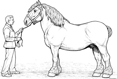 Printable Horse Coloring Pages