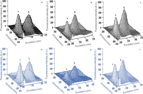 Fluorometric Measurements In A Three Dimensional Fluorescence Analysis