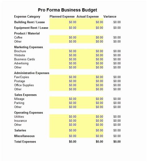 Divine Pro Forma Budget Example Preparation Of The Statement Cash Flows ...