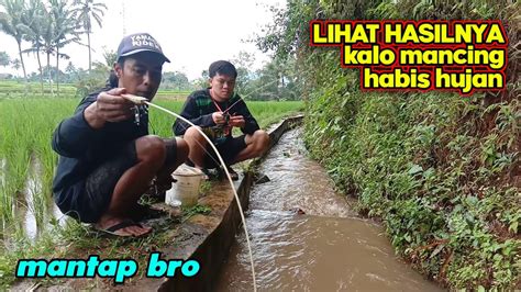 INI HASILNYA Kalo Mancing Wader Sehabis Hujan babon² pada naik YouTube