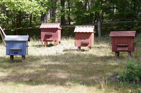 Premium Photo | Coloured beehives in a meadow