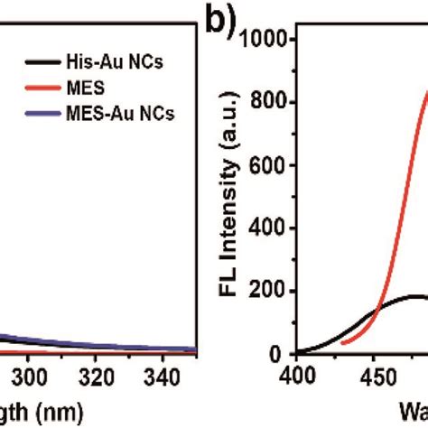 A The Uv Vis Absorption Spectra Of His Au Ncs Mes And Mes Capped Au