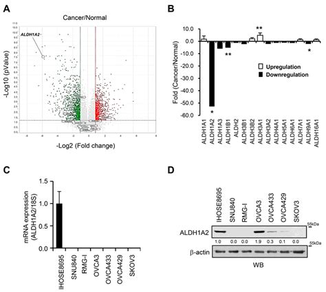 Comparative analysis of ALDH gene expression profiles and ALDH1A2... | Download Scientific Diagram