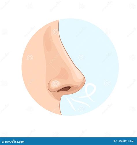 Human Nose Clipart Smelling