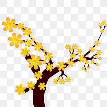 Yellow Apricot Blossom Vector Art Png Apricot Blossom Tree Branch