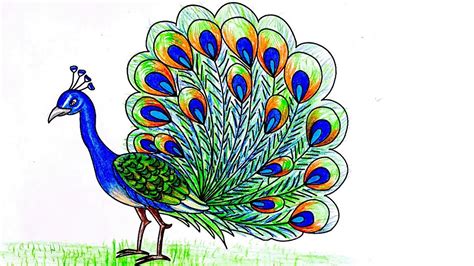 How To Draw A Peacock Very Easy Peacock Sketch Draw Session Youtube