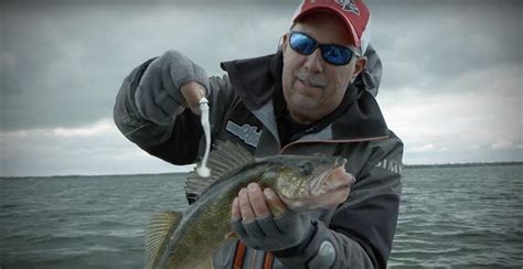 How To Fish For Walleyes With Finesse Swimbaits Wired Fish