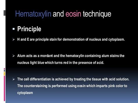 Hematoxylin And Eosin Staining Complete Guide