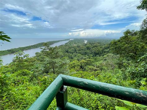 Cerro Tortuguero: Hiking an Inactive Volcano – Paradise Catchers