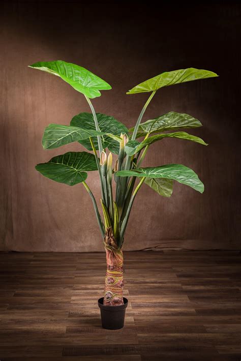 Alocasia Pianta Artificiale Foglie A Cuore E Apetto Elegante