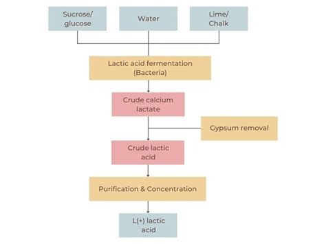 LACTIC ACID - Production process