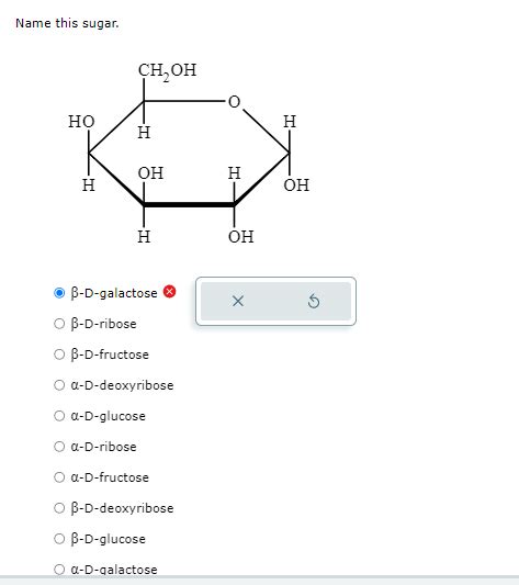 Solved Draw The Fischer Projection Of An L Aldopentose Name Chegg