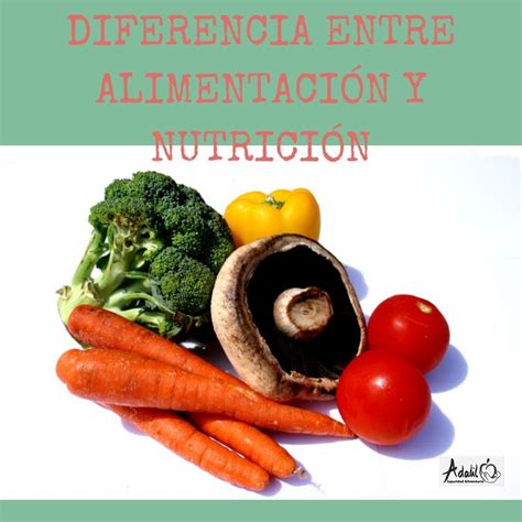 Diferencia Entre Alimentación Y Nutrición Adalil Seguridad Alimentaria