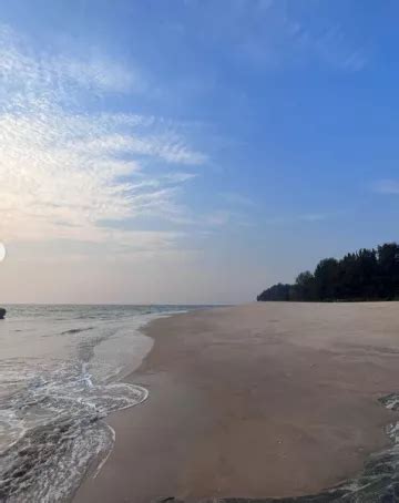 Mira Rajput Looks Sexy As She Dons A White Bikini On A Serene Beach Holiday With Shahid Kapoor