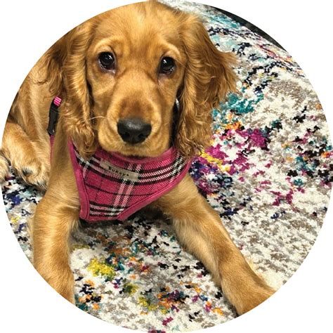 Pelzer residents react to the Gray Mortuary community support events 13