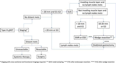 European Neuroendocrine Tumor Society Enets 2023 Guidance Paper For