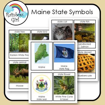 Maine State Symbols cards Tpt, Printables, Symbols, Rainbow, Education ...