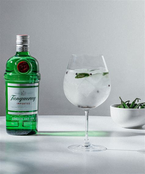 Easy Tanqueray Gin and Tonic Recipe 2023 - AtOnce