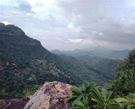 Chinnar Wildlife Sanctuary in Munnar (Idukki), trekking, accommodation ...