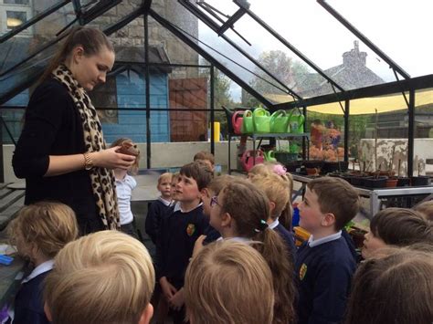 Cartmel Primary School Plants And Growing