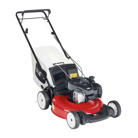 Toro Recycler 21 in. Briggs & Stratton Low Wheel RWD Gas Walk Behind ...