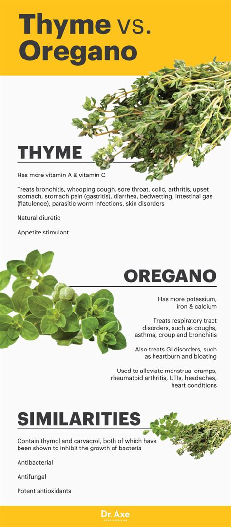 Top Thyme Benefits Will Clear Your Throat Dr Axe