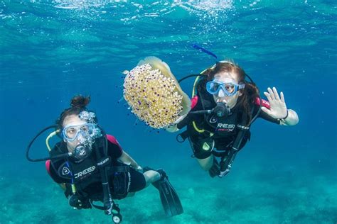 Bautismo De Buceo En Creta Hellotickets