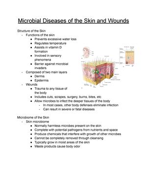 Chapter Microbio For Professor Trueman Microbial Diseases Of The