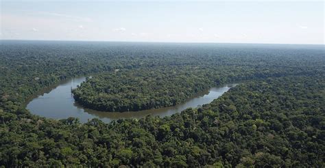 Perú alcanzó meta internacional para conservar su biodiversidad