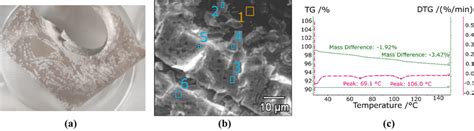 Eloxal With Srcl2 Real View A Sem B And Tga C Download Scientific Diagram