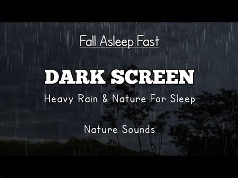 Goodbye Insomnia To Sleep Immediately With Strong Heavy Rainstorm At