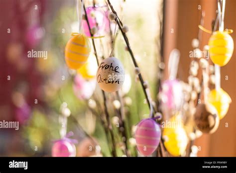 Twigs Of Pussy Willows Decorated With Easter Eggs Stock Photo Alamy