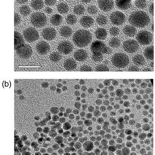 HR TEM Images Of The Synthesised AuNPs Showing The Shape And Size 4 5