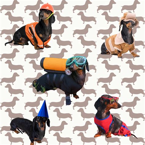 Home › Dog Fabric Dachshund Fabric Doxie Fabric At Work Cotton Or